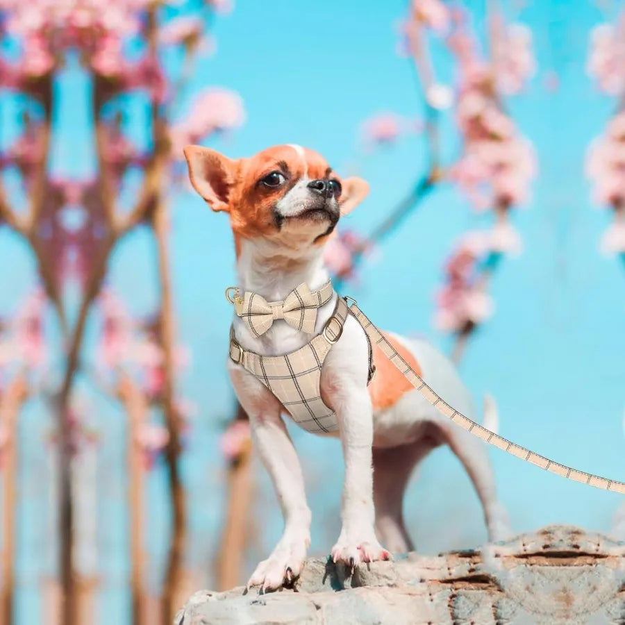 Cute Extra Small Dog Harness Collar and Leash Set with Bowtie Soft Adjustable Plaid Puppy Harness for Small Sized Dogs Cats Wal