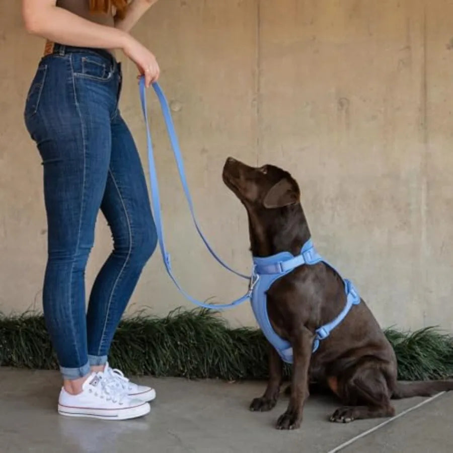 Adjustable Dog Harness Set with Collar and Leash Featuring Waste Bag Holder and Dirty Waste Bag Clip for Small Medium and Large