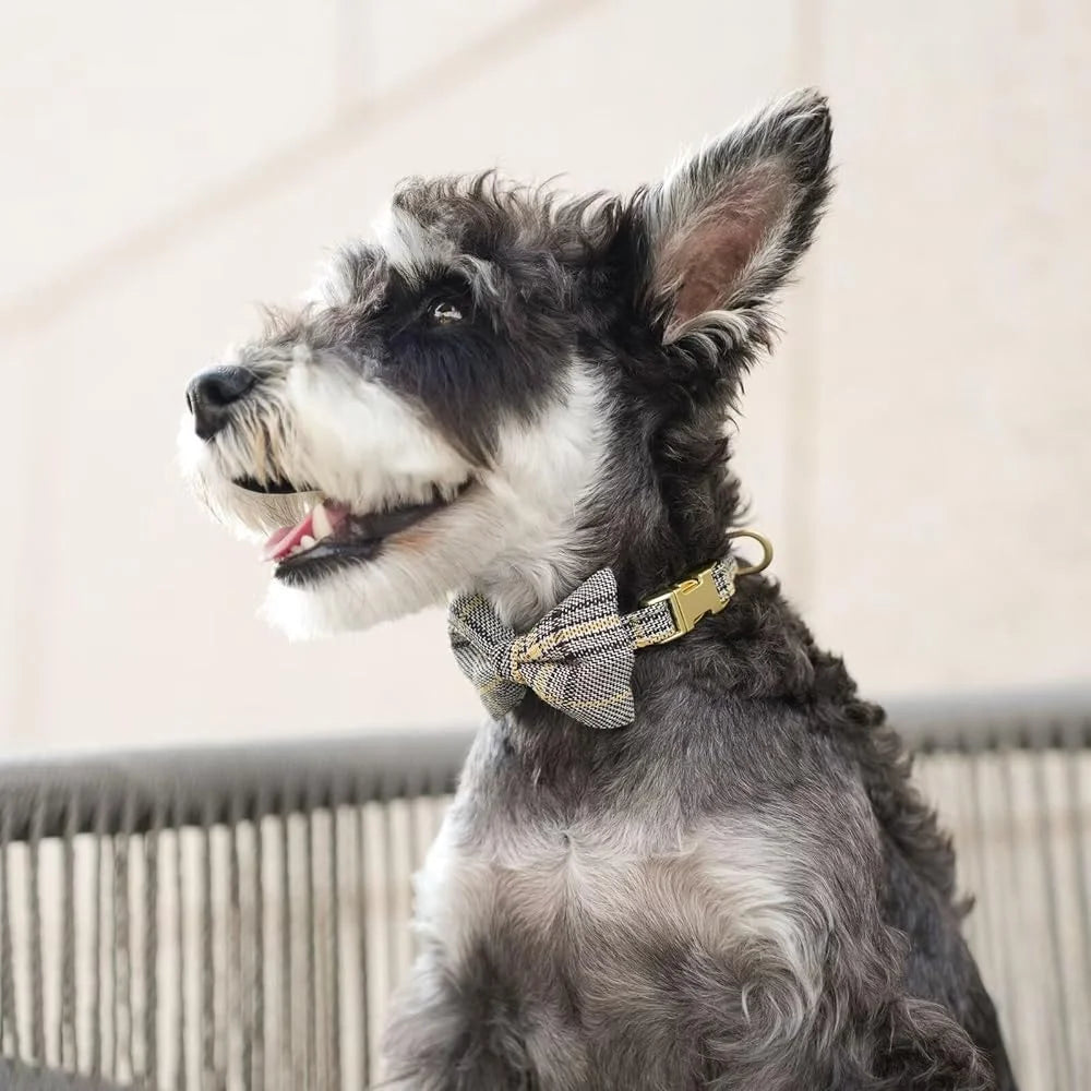 Cute Adjustable Dog Harness Collar Leash Set Small Dogs Cats Soft Plaid Design Ideal Walks Parties and Events