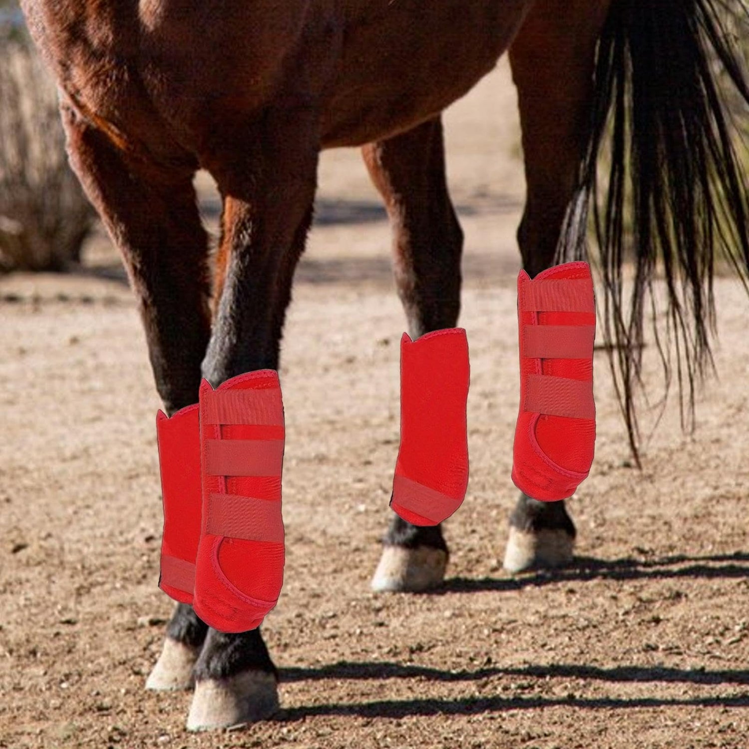 Horse Boots