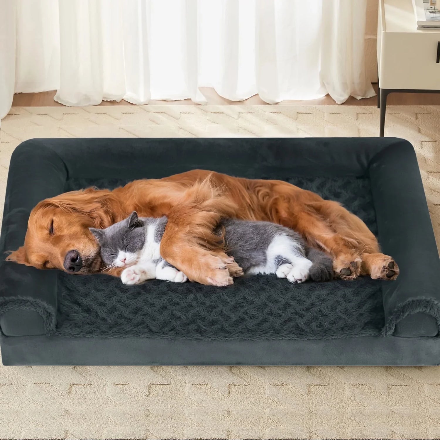 Pet Beds