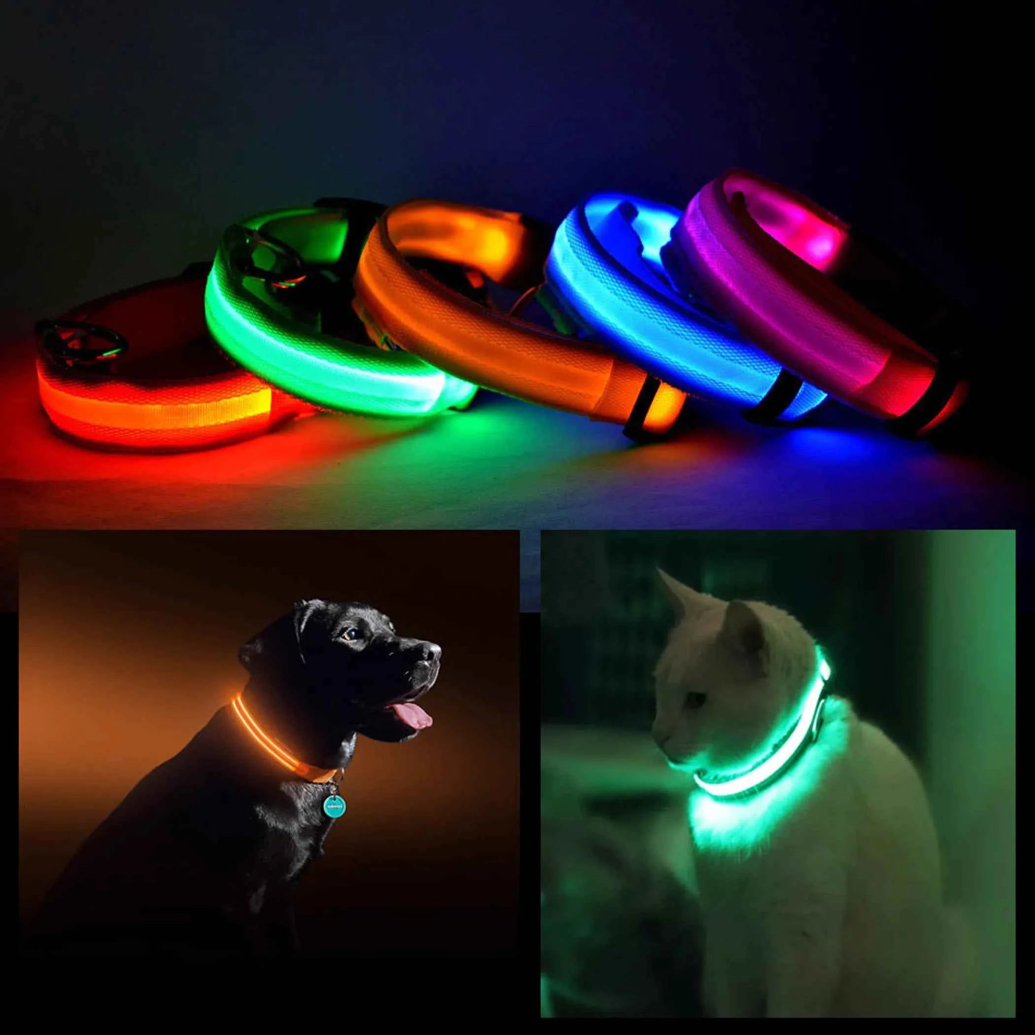 LED PET Safety Halo Style Collar - Pack Of: 1
