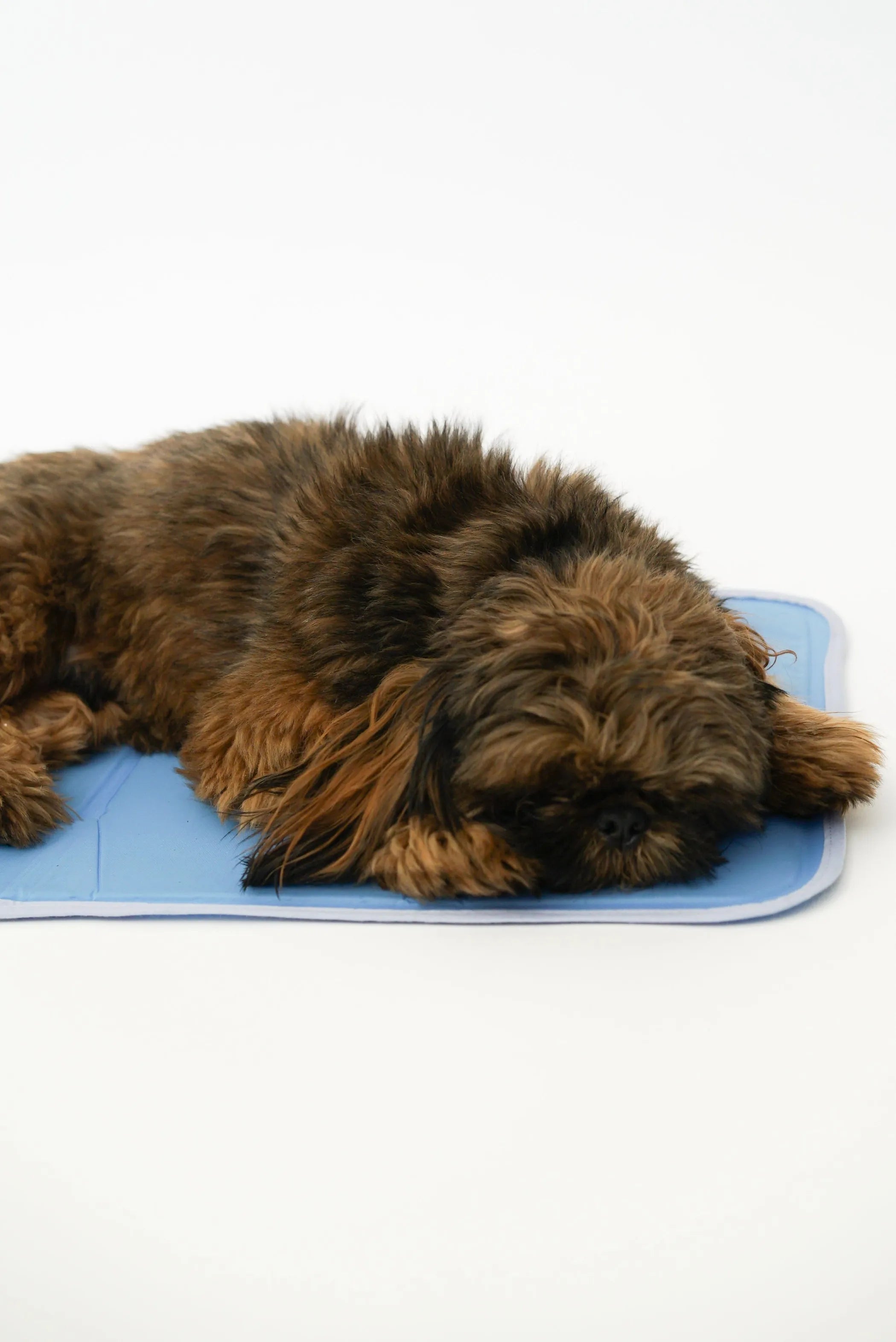 Cool Pet Pad - Self-Cooling Dog Mat - No Water, Electricity or Refrigeration Needed