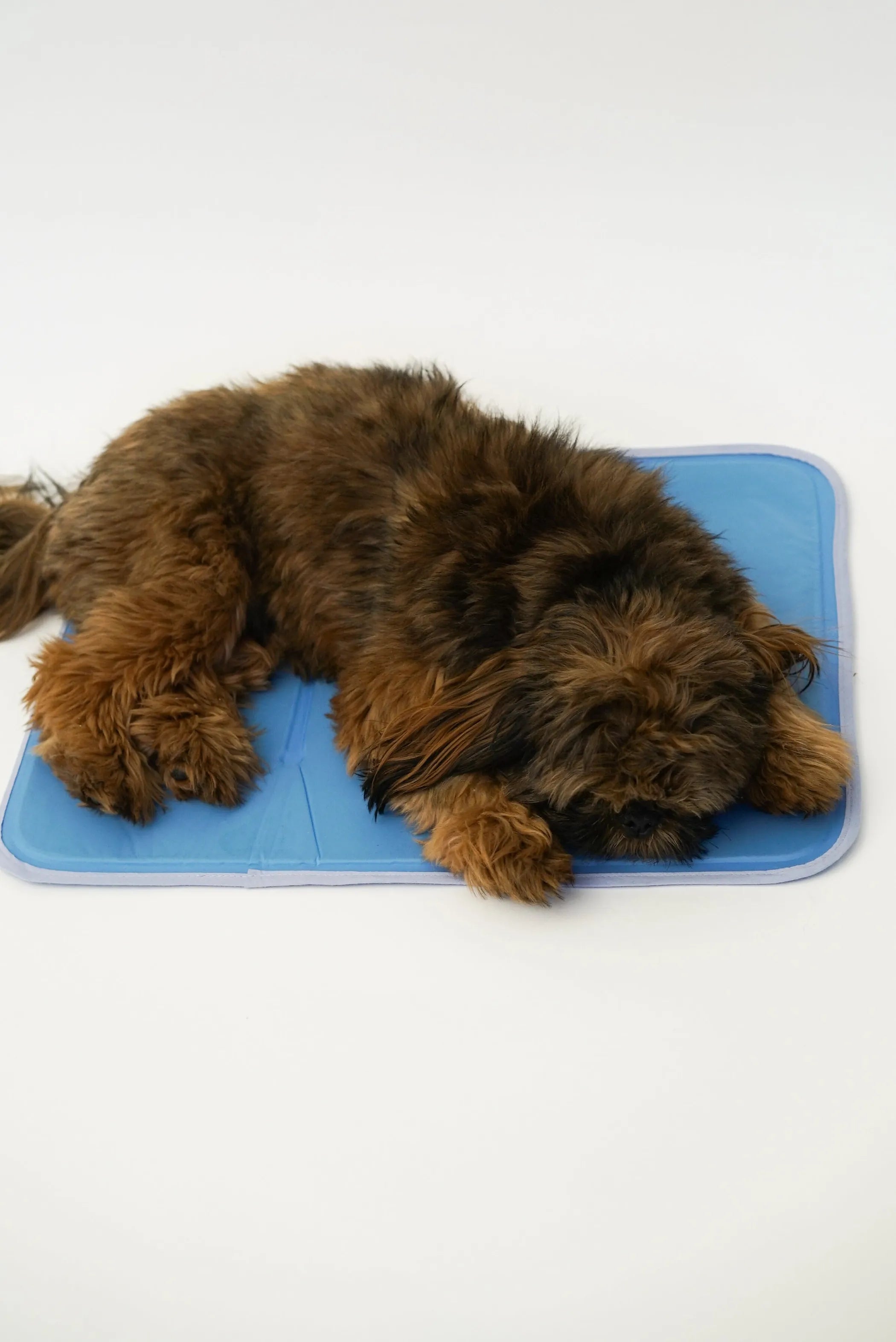 Cool Pet Pad - Self-Cooling Dog Mat - No Water, Electricity or Refrigeration Needed