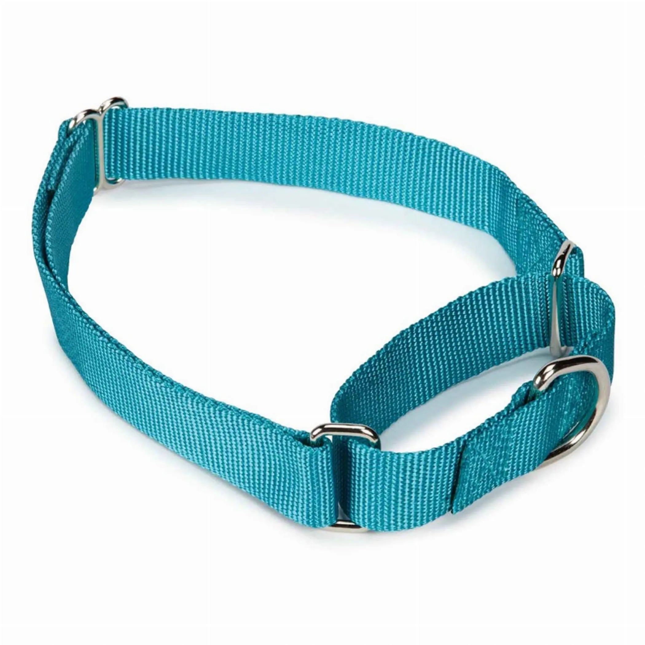 Guardian Gear Nylon Martingale Dog Collar - Adjustable Training Collar