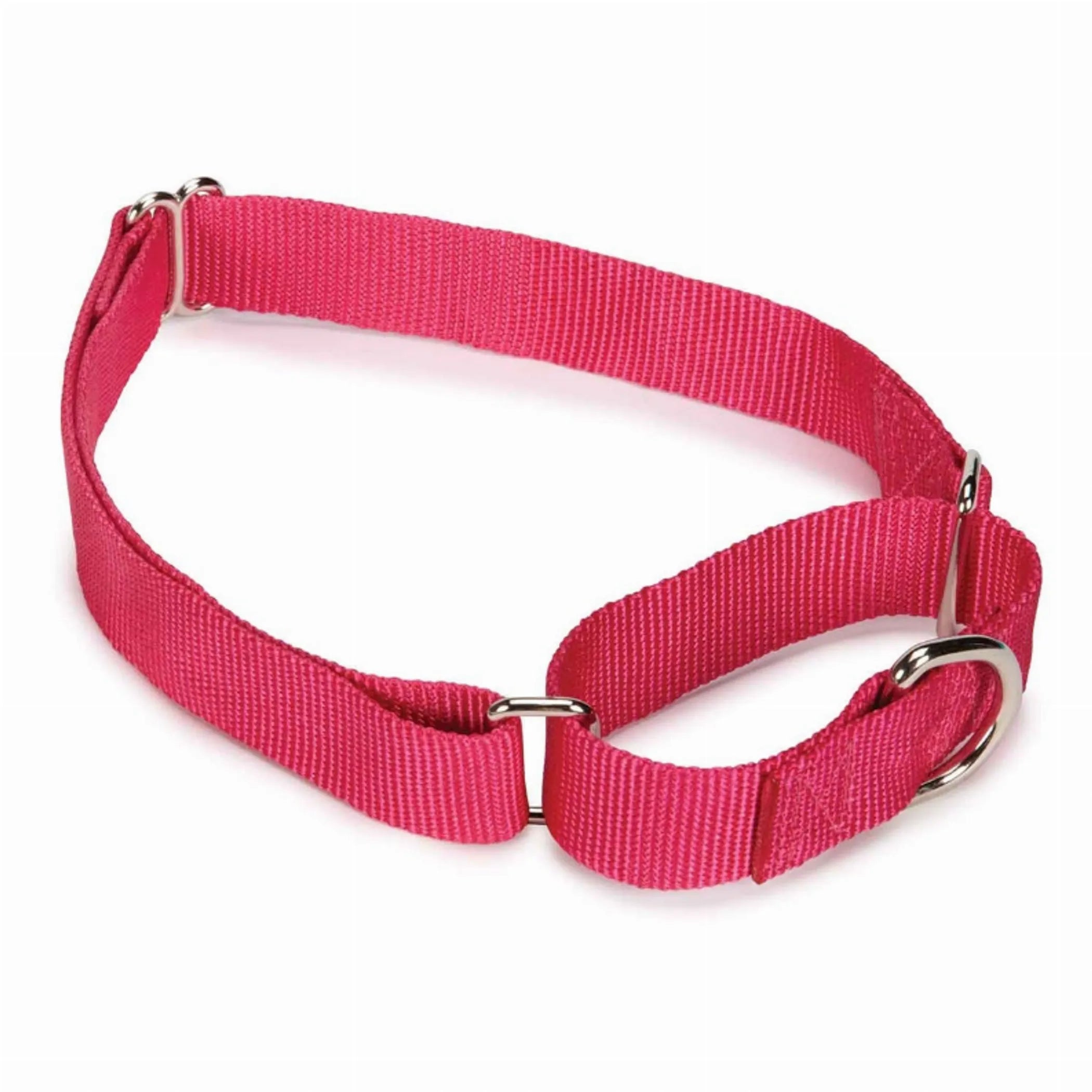 Guardian Gear Nylon Martingale Dog Collar - Adjustable Training Collar