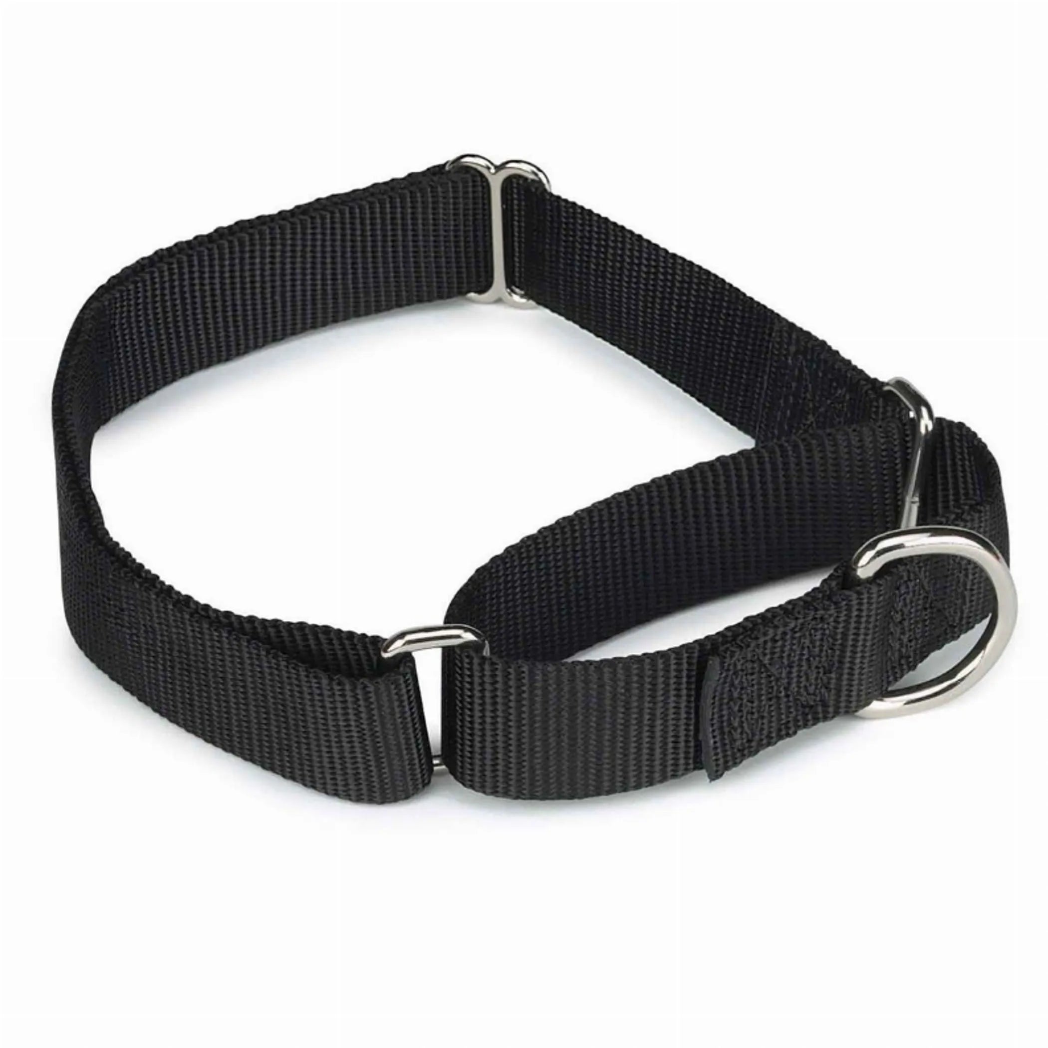 Black dog collar with metal hardware on a white background