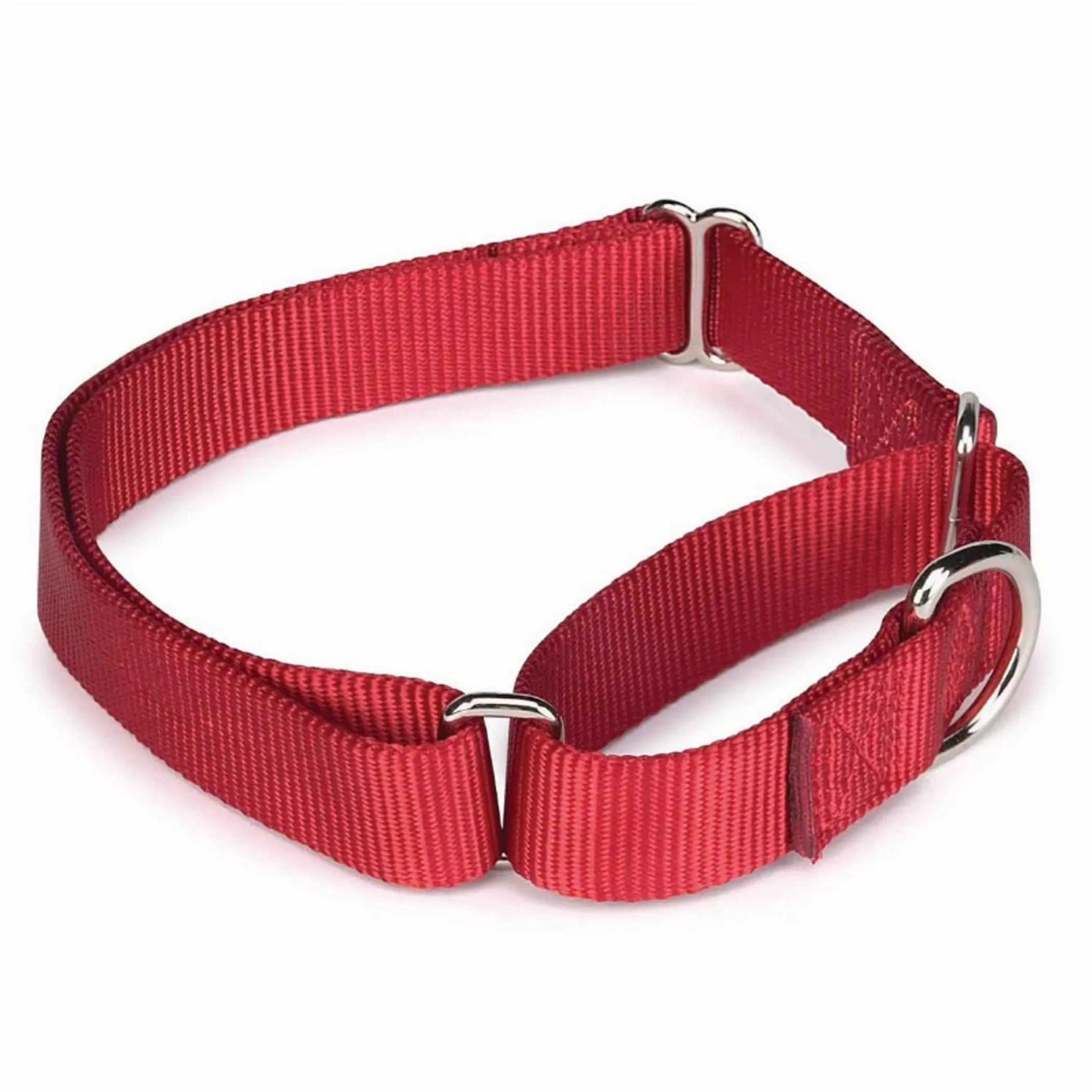 Guardian Gear Nylon Martingale Dog Collar - Adjustable Training Collar