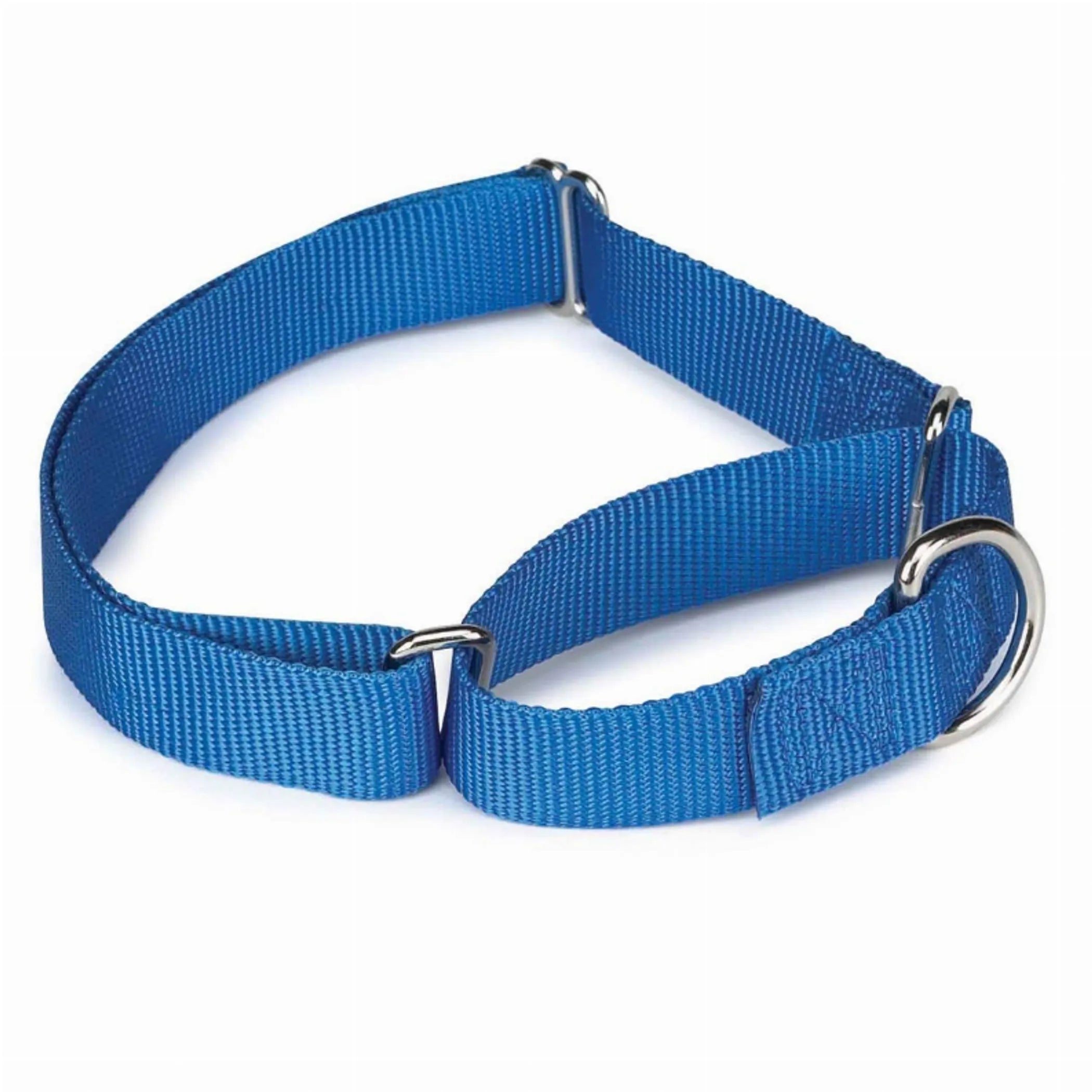 Blue dog collar with metal rings on a white background