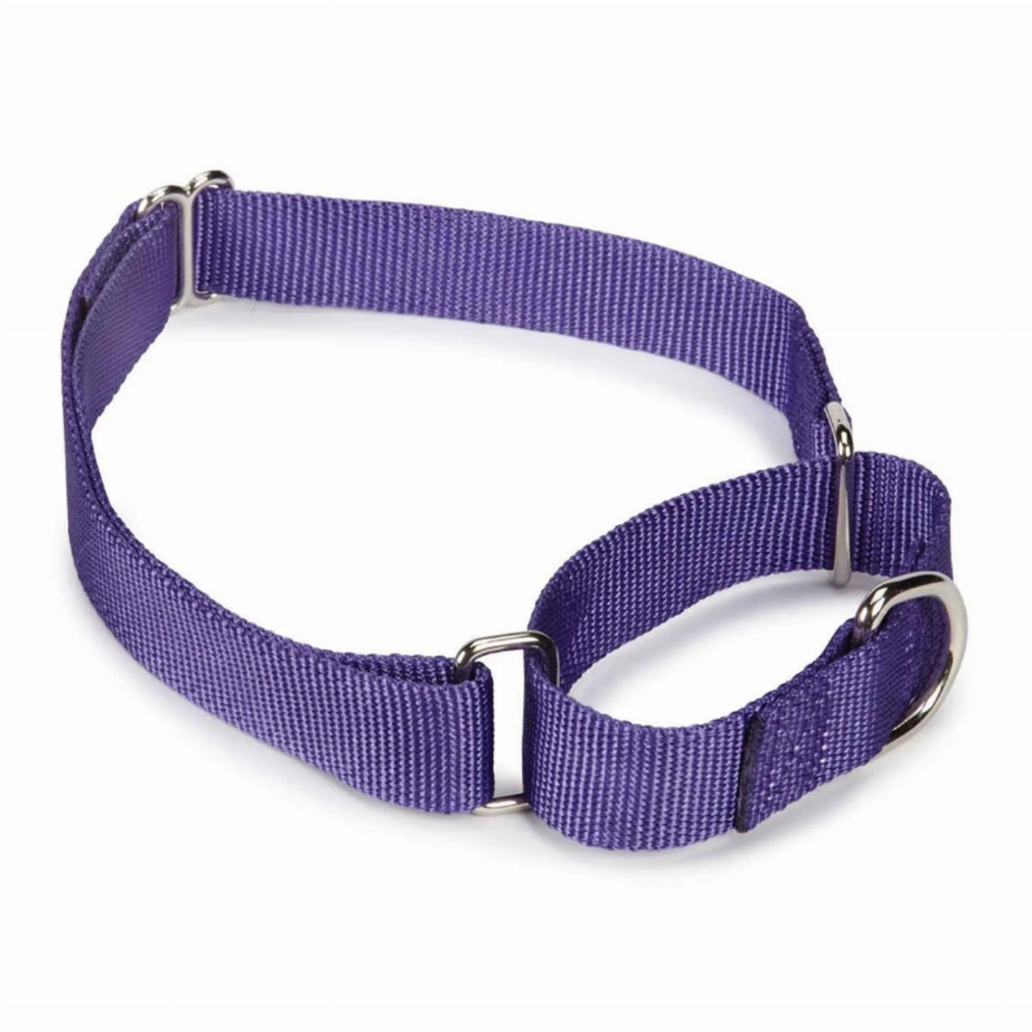 Guardian Gear Nylon Martingale Dog Collar - Adjustable Training Collar