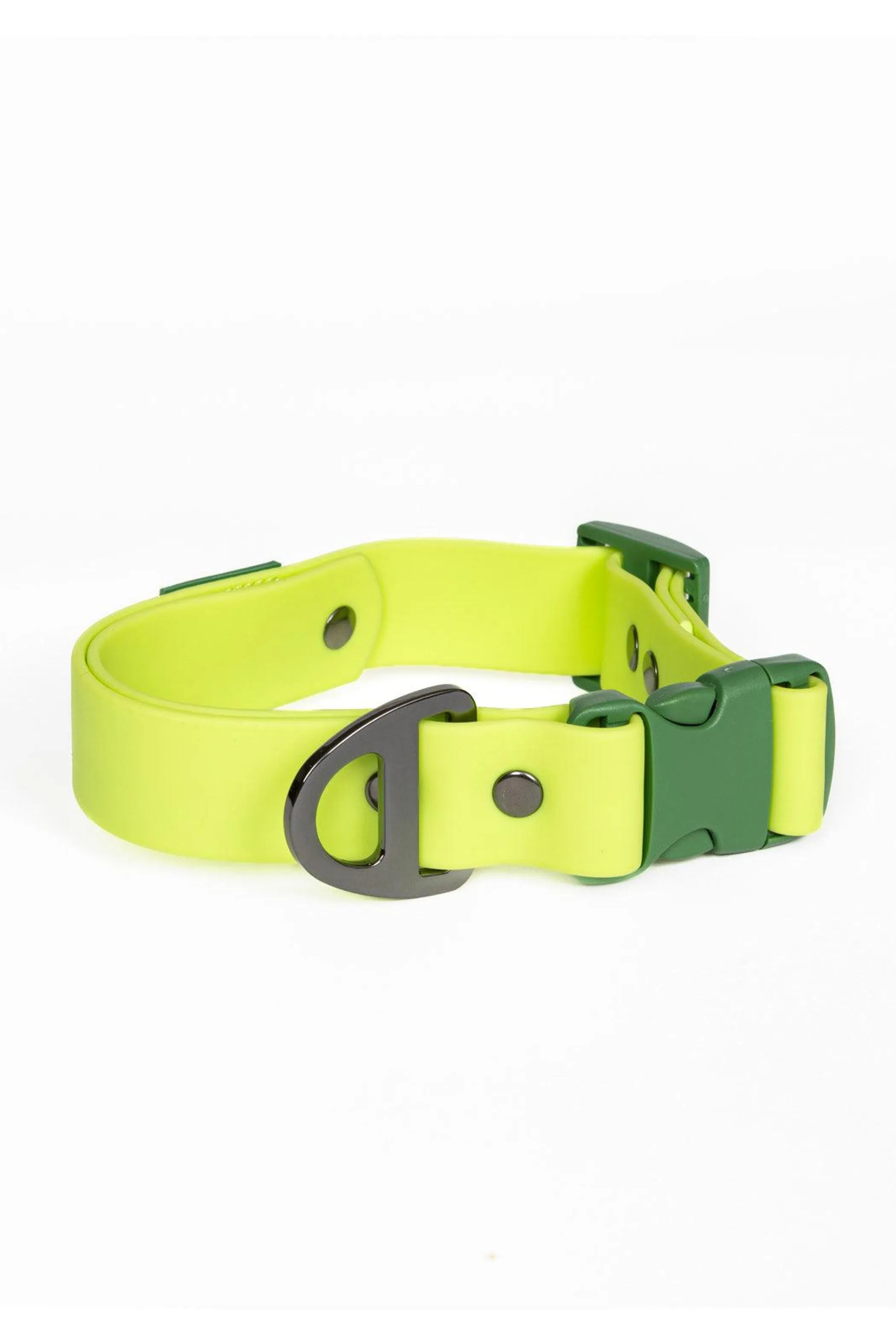 Yellow dog collar with green buckle on a white background