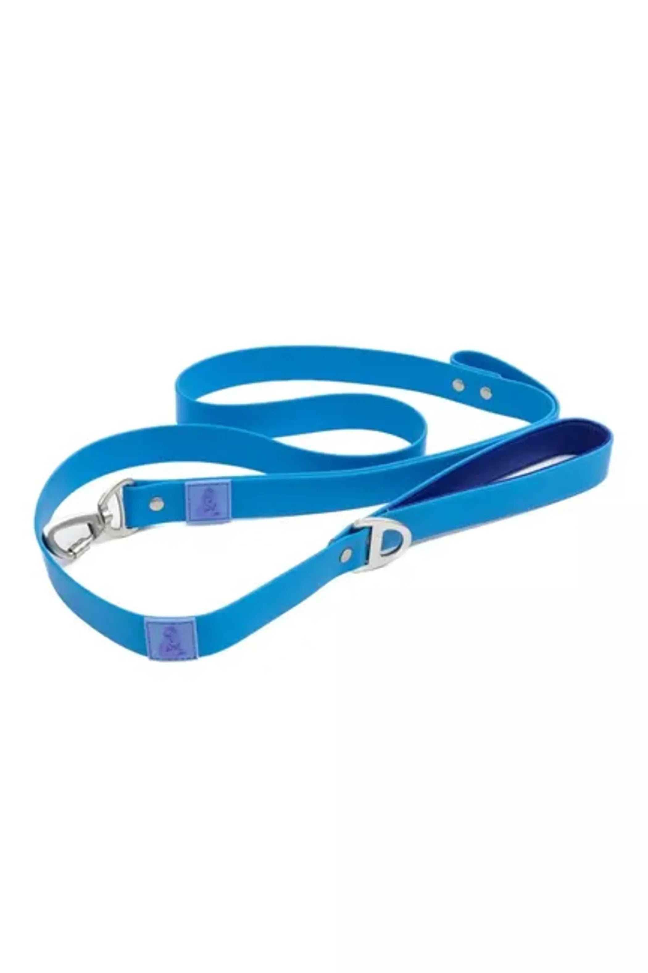 Blue dog leash on a white background