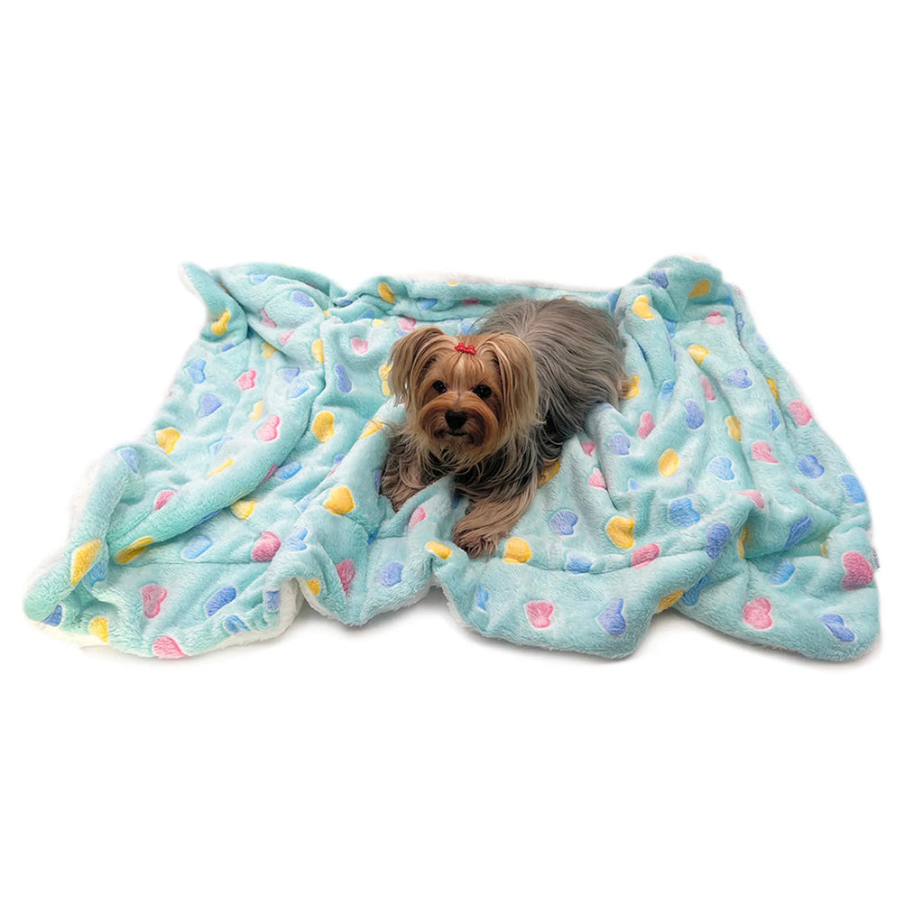Ultra Plush Dog Blanket - Colorful Hearts Print - Double Layer Soft Pet Bedding