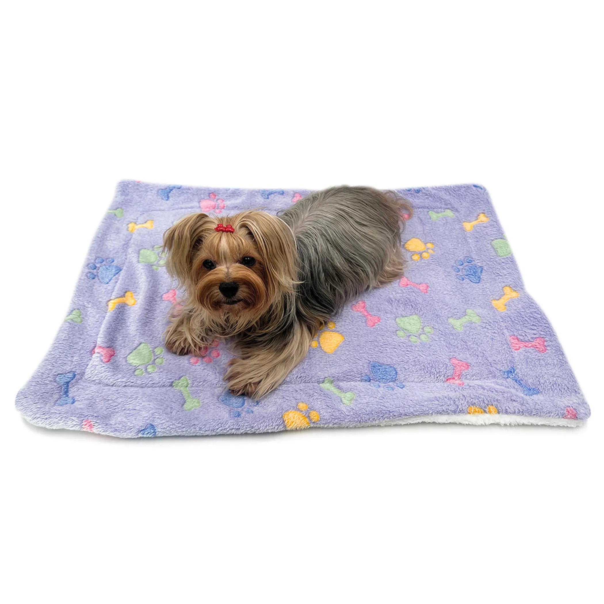 Ultra Plush Dog Blanket - Colorful Bones & Paws Print - Double Layer Soft Pet Bedding