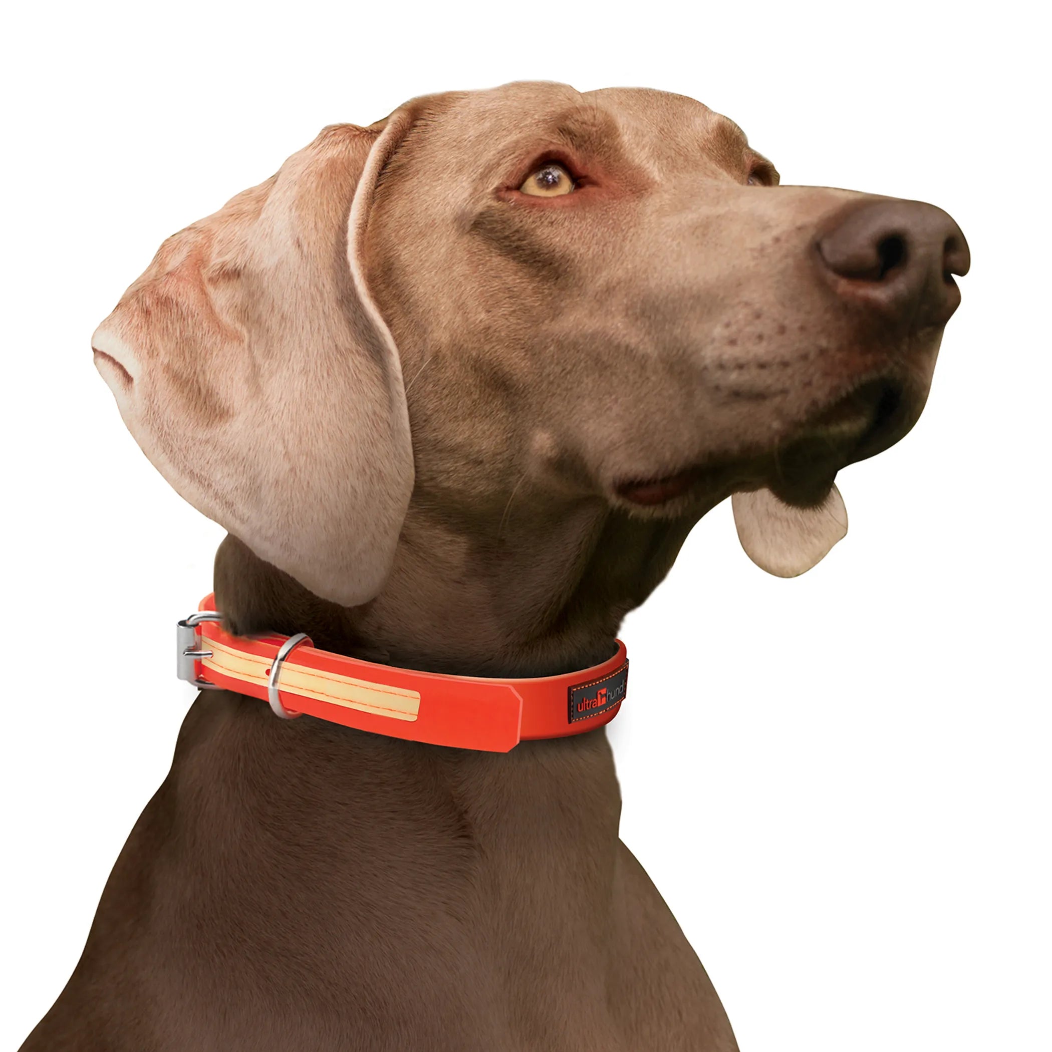 Ultrahund Play Martingale Collar - Safe Training Collar with Quick Release