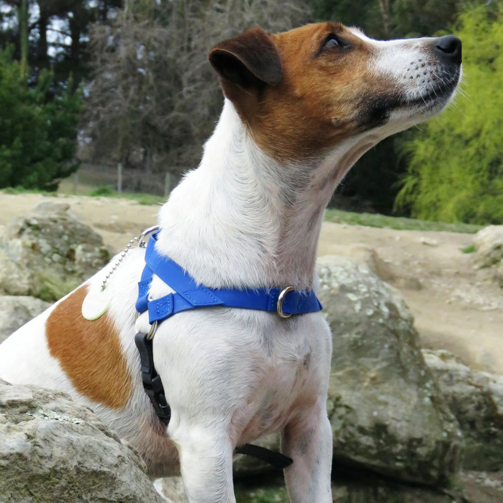 No-Pull Dog Harness - Ultrahund Freedom Harness with Control Handle & Adjustable Fit