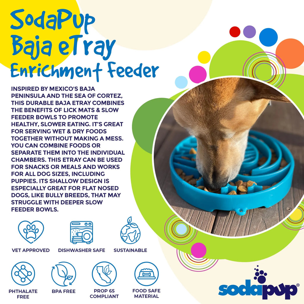 Baja Design eTray - Shallow Slow Feeder Dog Bowl for Enrichment