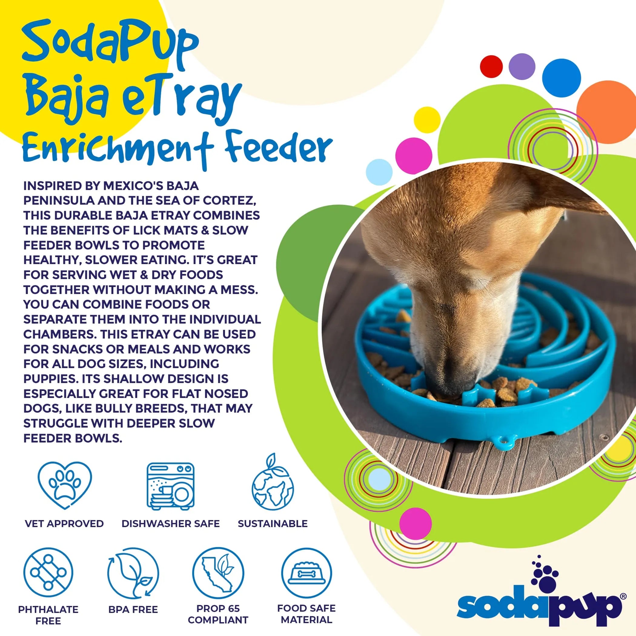 Baja Design eTray - Shallow Slow Feeder Dog Bowl for Enrichment