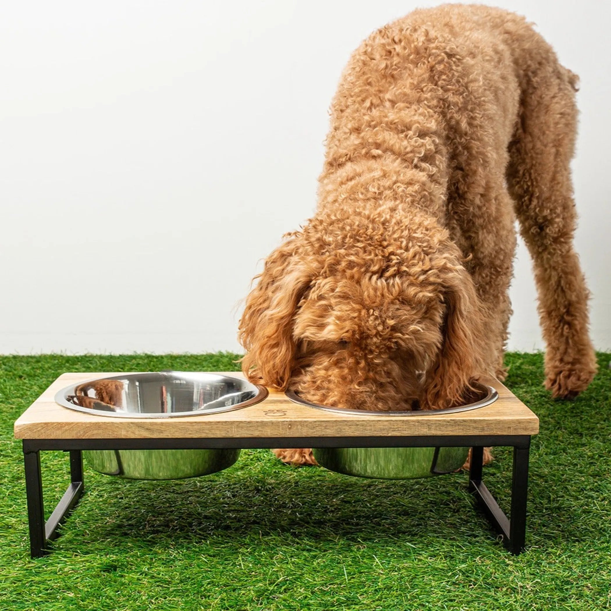 Brown dog drinking from a elevated metal bowl on a grassy surface