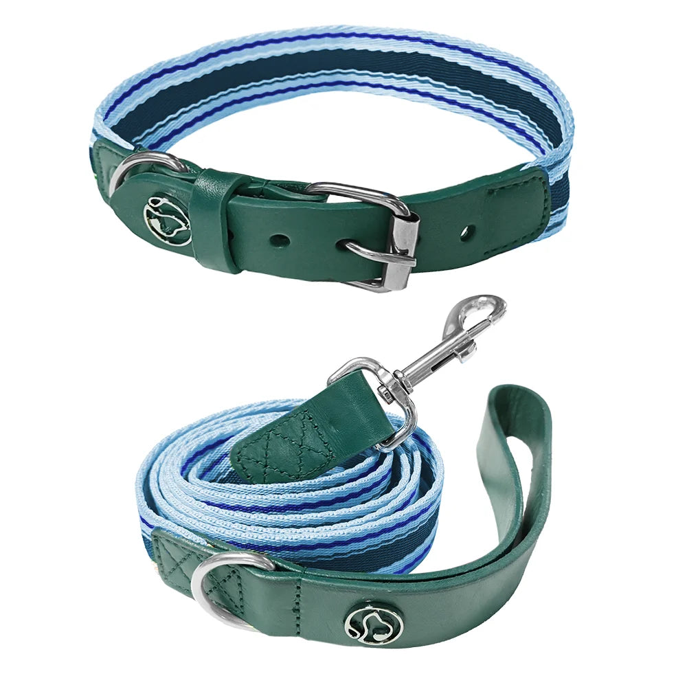 Adjustable Dog Collar and Leash Set for Small Medium Large Dogs (Collar+Leash XS-Neck 12”-32”)