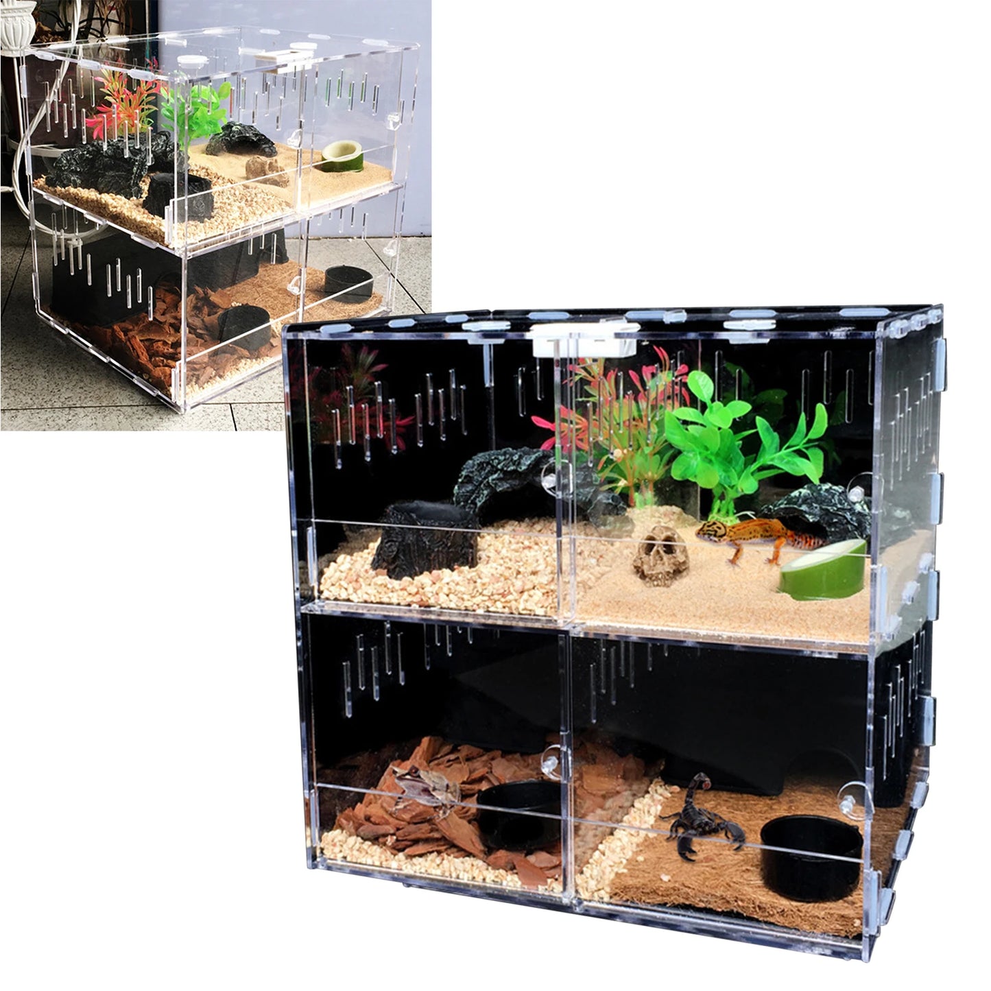 Acrylic Pet Box 4 Grids Reptile Lizard Crawling Insect Breeding Box