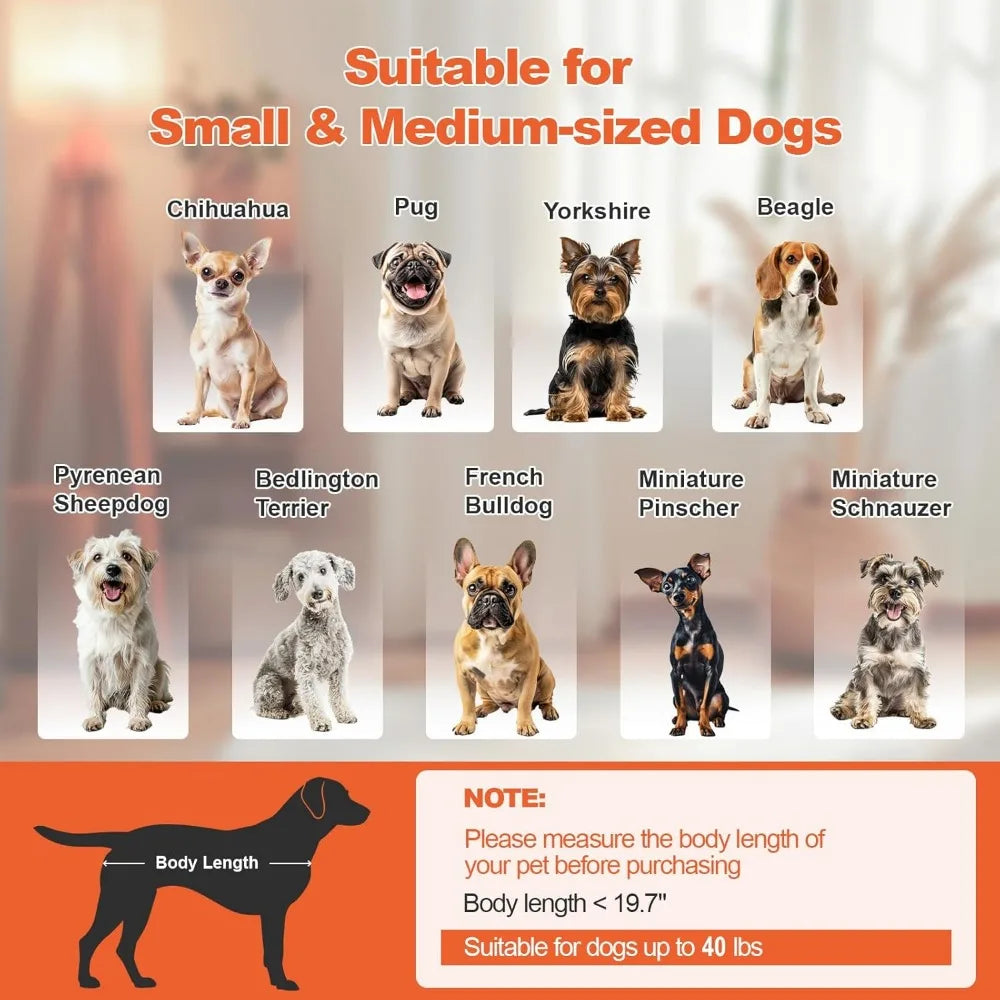 elevated dog bed with cushion for small to medium pets, removable cover and anti-slip base