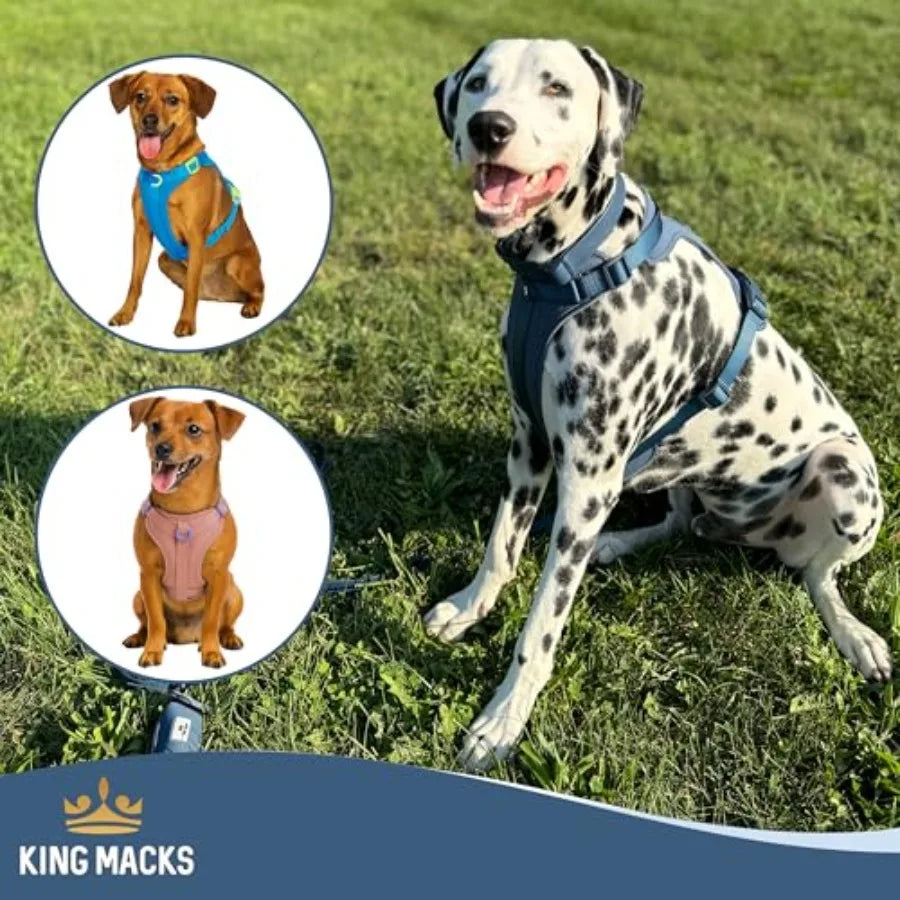 Adjustable Dog Harness Set with Collar and Leash Featuring Waste Bag Holder and Dirty Waste Bag Clip for Small Medium and Large