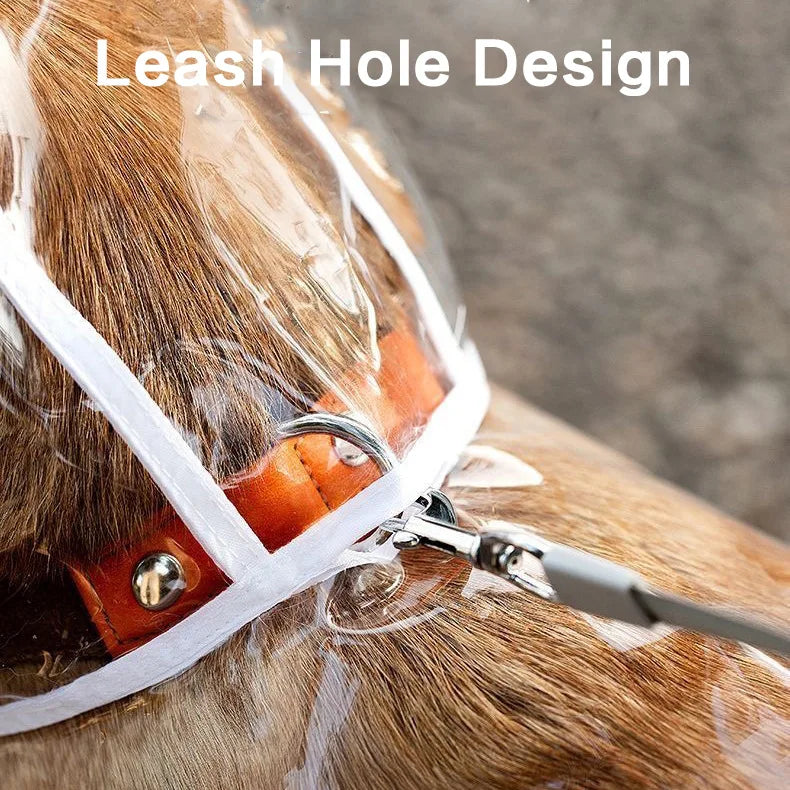 Pet Raincoat Transparent Dog Raincoat Waterproof and Windproof Pet Clothing Large Dog Pet Dog Dog Costume