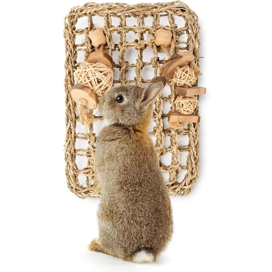 Srass Protector Mat with Toys for Rabbit Bunny Chinchilla Guinea Pigs or Other Rodent Pets 11 X 7.87inch