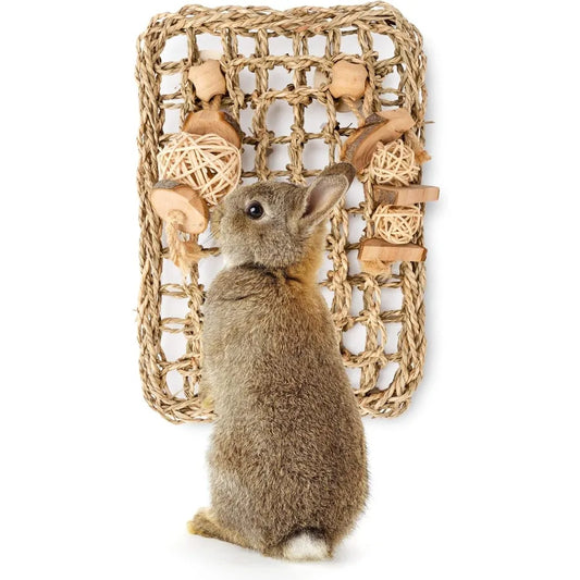 Srass Protector Mat with Toys for Rabbit Bunny Chinchilla Guinea Pigs or Other Rodent Pets 11 X 7.87inch