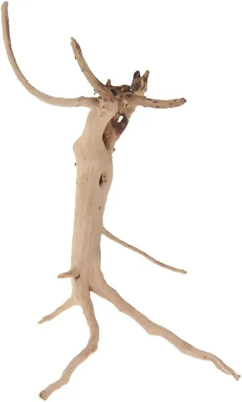 Natural Driftwood Vine Branches Reptiles Aquarium Decoration Assorted Sizes,Small,4 Pieces
