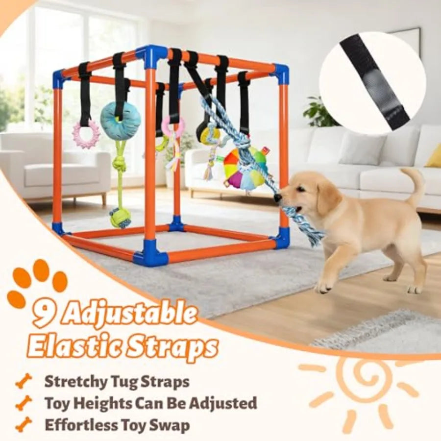 Dog play gym with toys and adjustable elastic straps in a living room setting.
