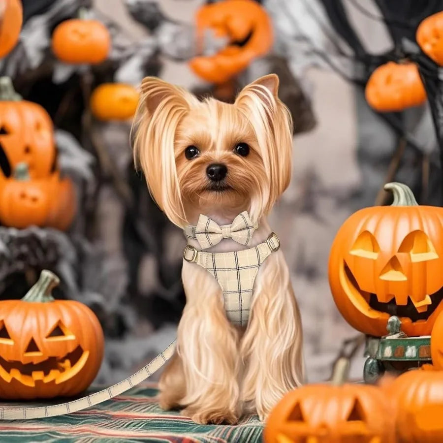 Cute Extra Small Dog Harness Collar and Leash Set with Bowtie Soft Adjustable Plaid Puppy Harness for Small Sized Dogs Cats Wal