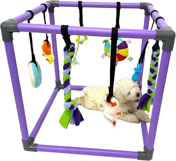 Puppy Play Gym - Interactive Jungle Playground with 8 Hanging Toys for Small Dogs