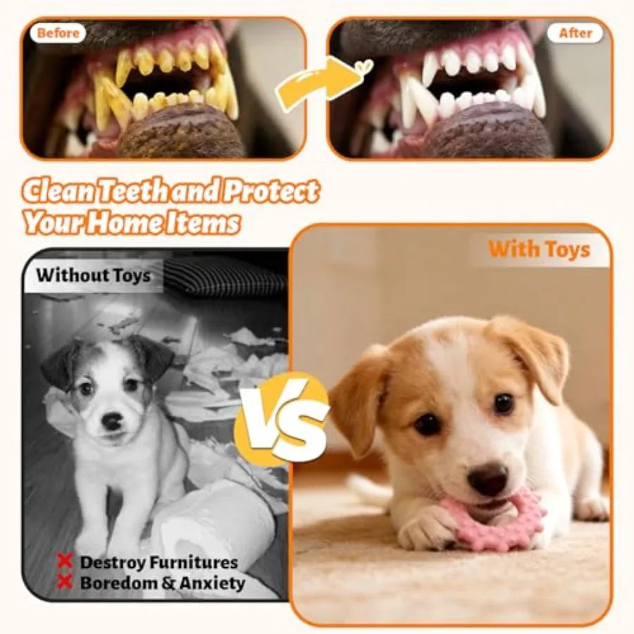 Before and after comparison of a dog's teeth with and without toys, showing a puppy with and without a toy.