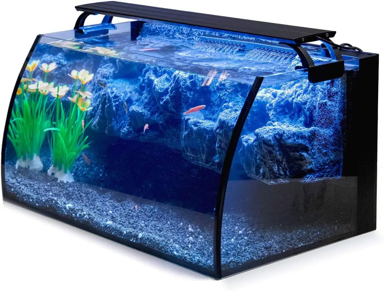 8 Gallon Curved Glass Aquarium Starter Kit – LED Light, Filter & 3D Rockery Background
