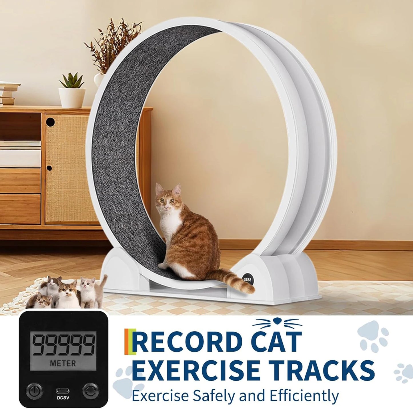Cat Exercise Wheel for Indoor Cats, ABS Cat Wheel Exerciser Quiet Cats Treadmill with Pedometer, Small Animal Running Wheels