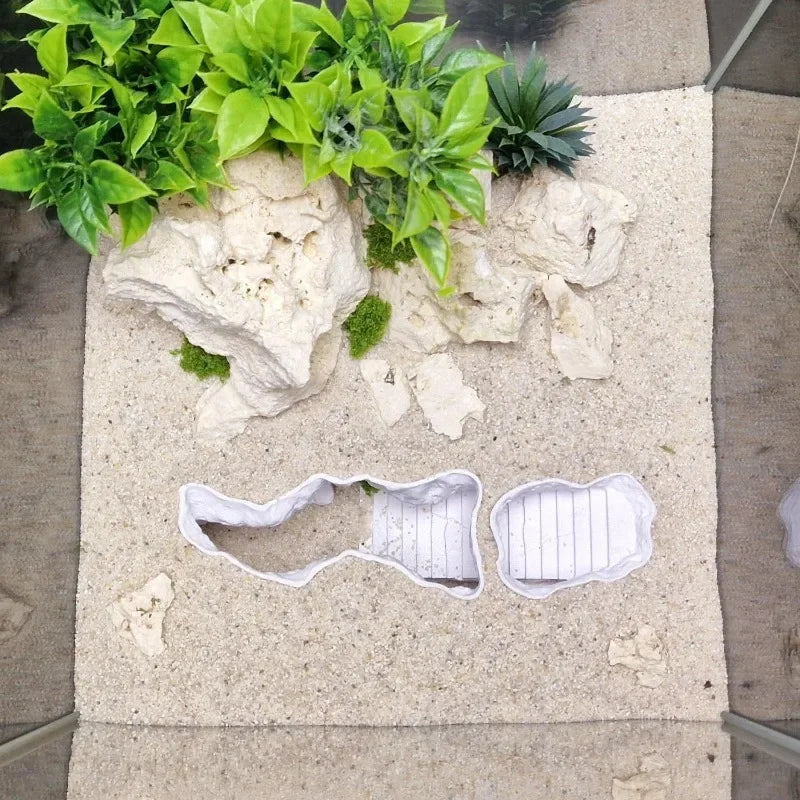Two white cookie cutters shaped like shells on a sandy surface with plants.