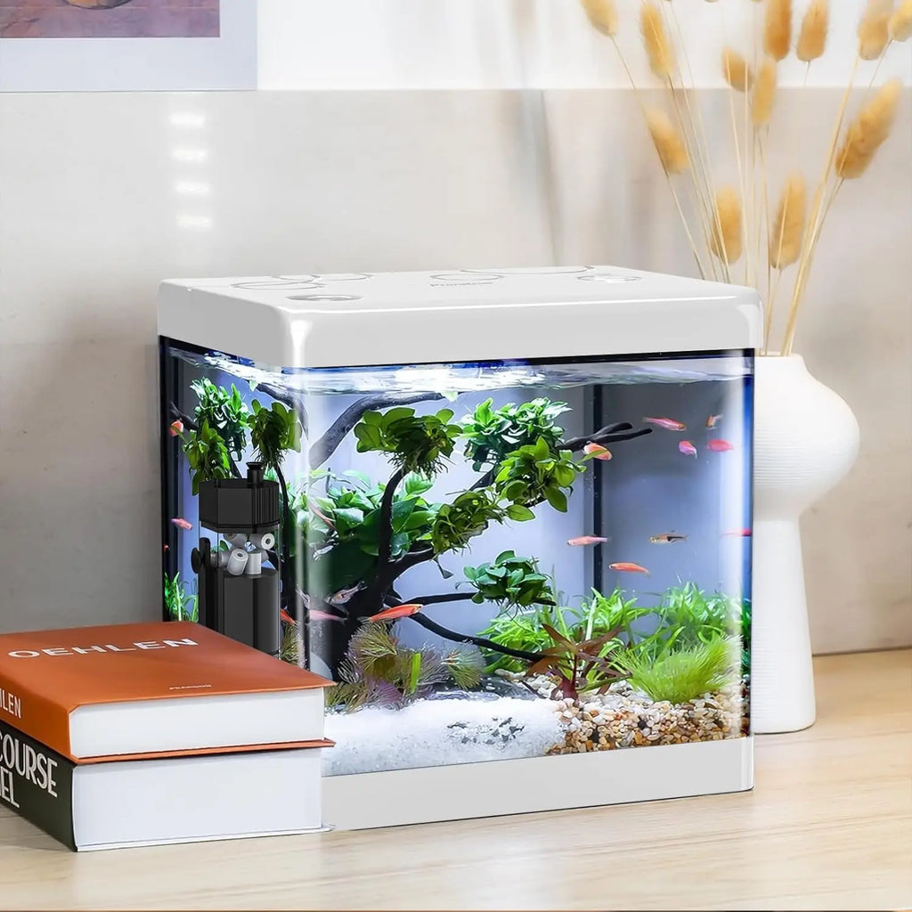 5 Gallon Glass Aquarium Starter Kit – Built-In Filter, LED Light & Stand for Betta Fish