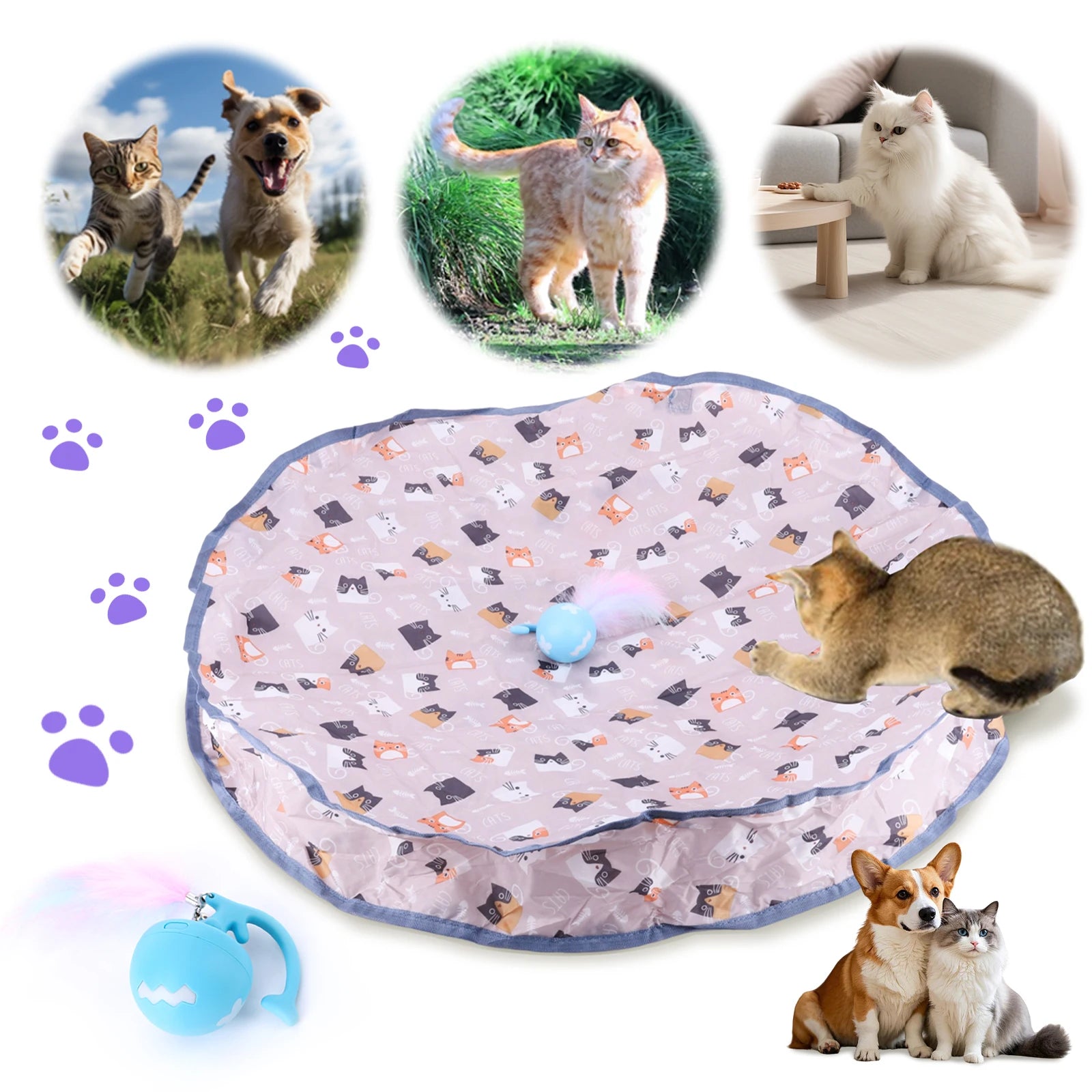 Smart Interactive Cat Toy Ball - Motion Activated Rolling Ball with Hide & Seek Pouch