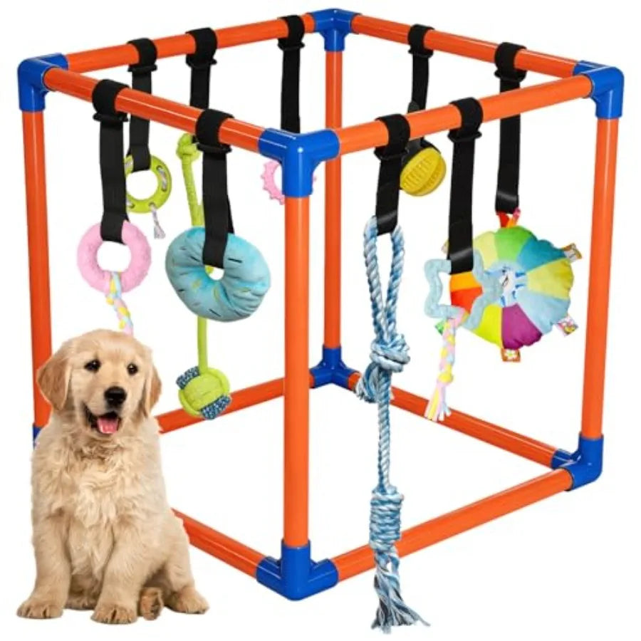 Dog play cube with toys and a puppy sitting next to it on a white background