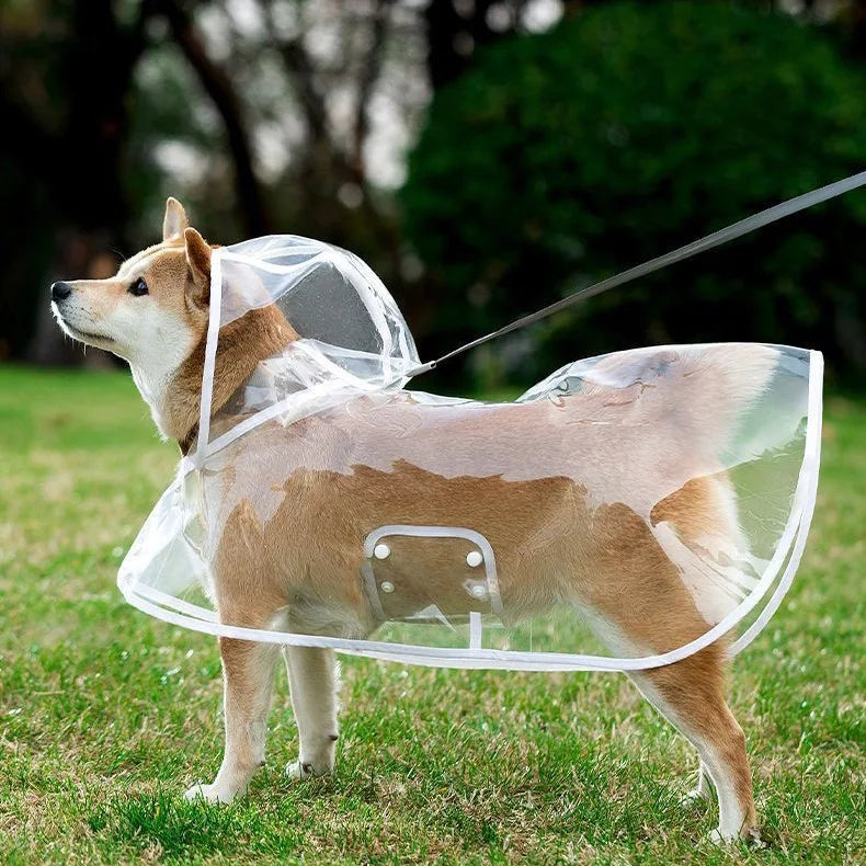 Pet Raincoat Transparent Dog Raincoat Waterproof and Windproof Pet Clothing Large Dog Pet Dog Dog Costume