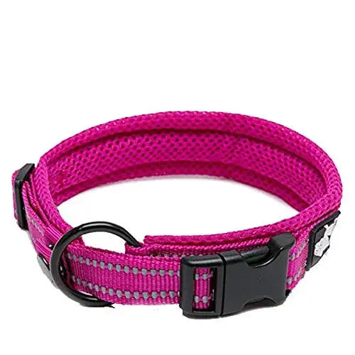 Pink dog collar with a black buckle on a white background