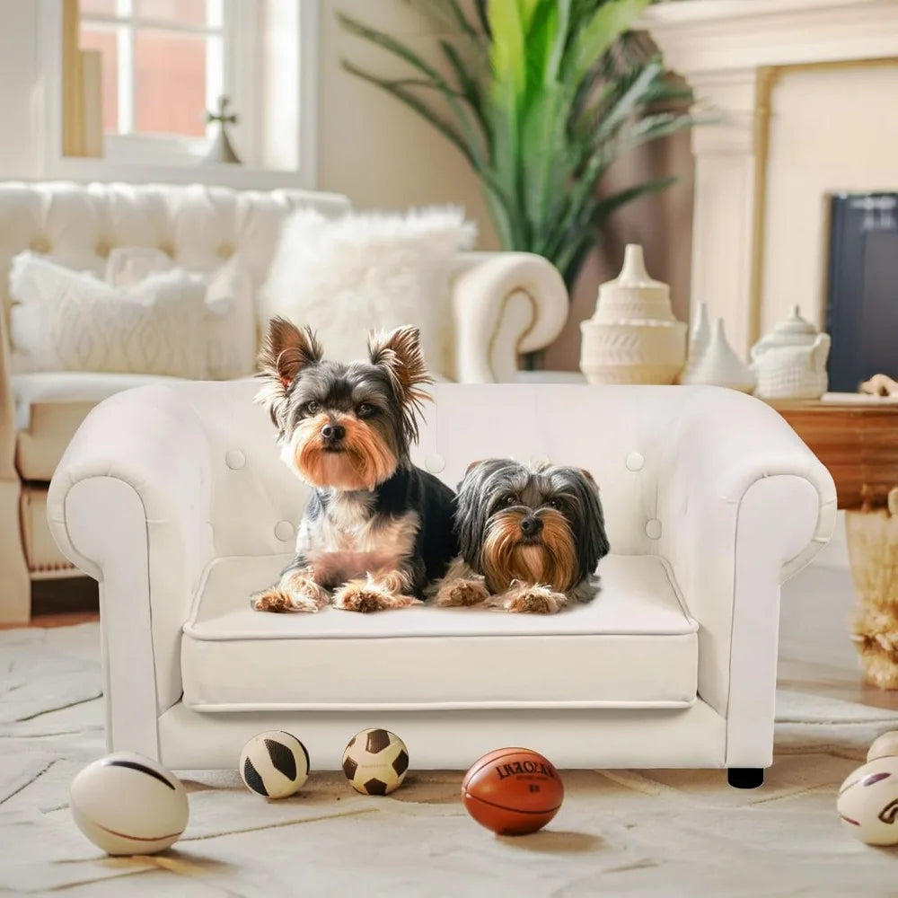 elevated dog bed with cushion for small to medium pets, removable cover and anti-slip base