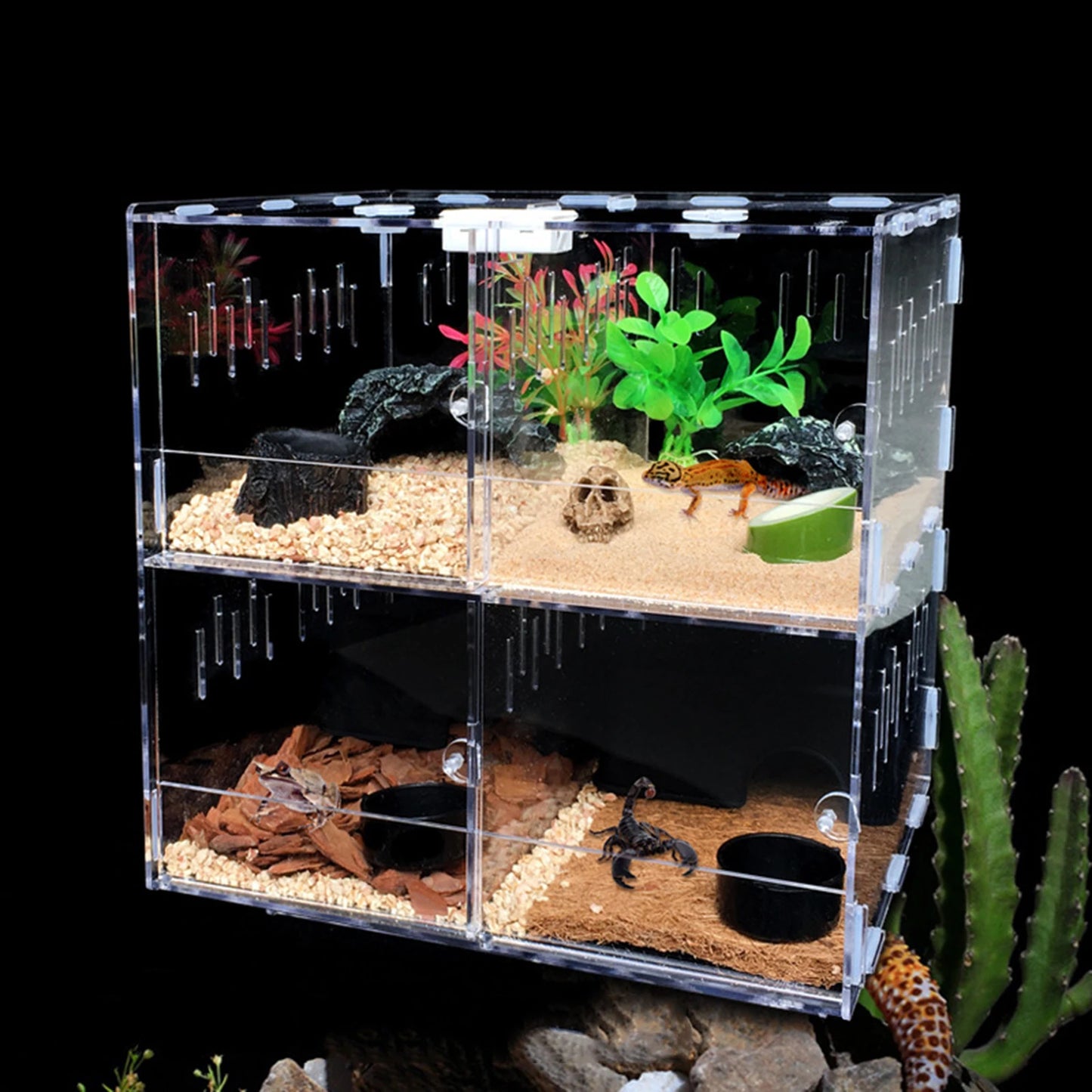 Acrylic Pet Box 4 Grids Reptile Lizard Crawling Insect Breeding Box