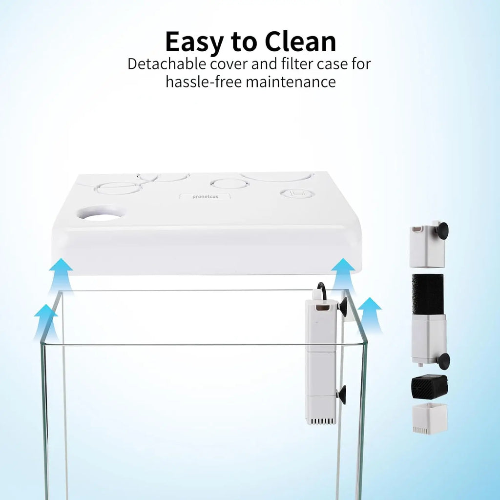 5 Gallon Glass Aquarium Starter Kit – Built-In Filter, LED Light & Stand for Betta Fish