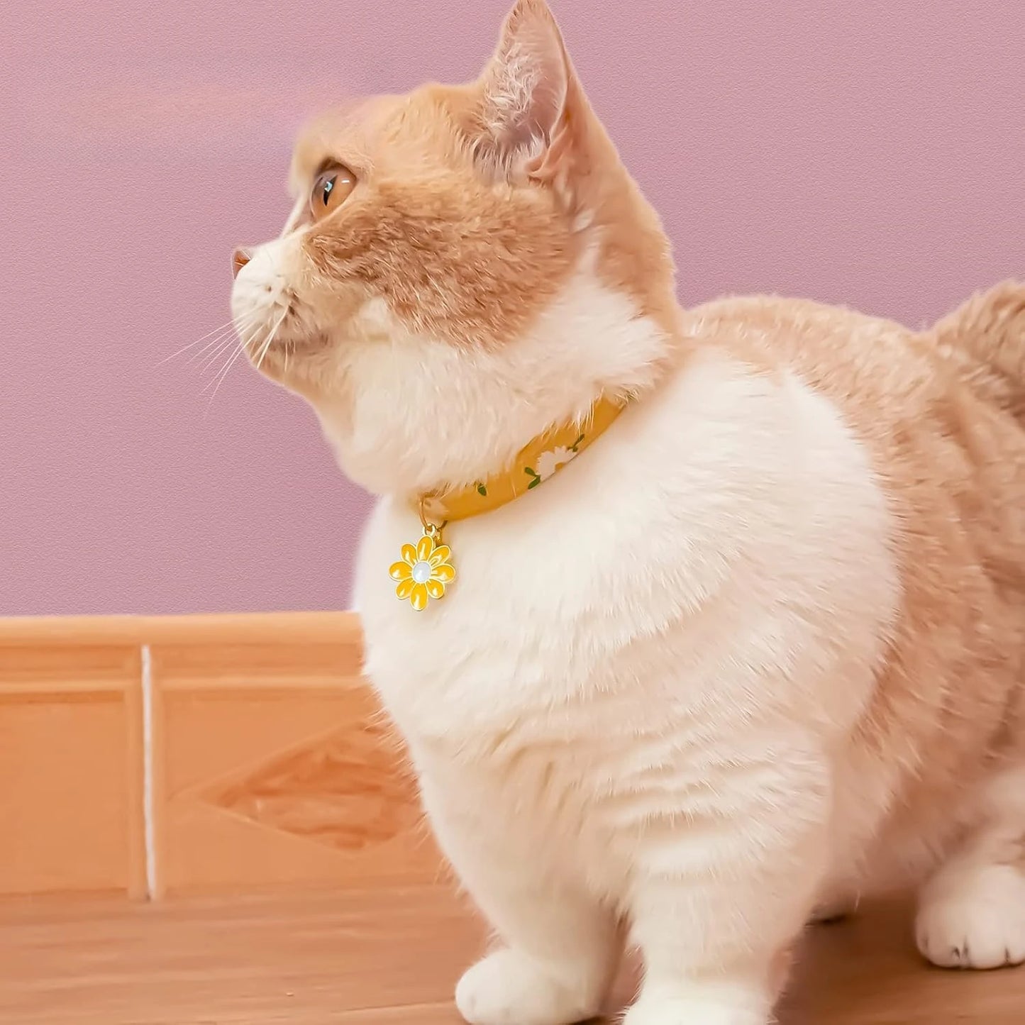 2-Pack Cotton Cat Collars: Breakaway, Bell & Yellow/Green Flower Pendants. Cute Kitten Collars for Girls & Boys.