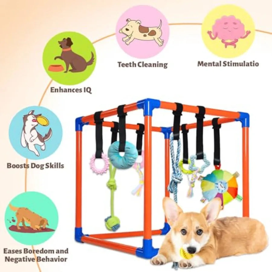 Pet play gym with various toys and benefits listed on a beige background