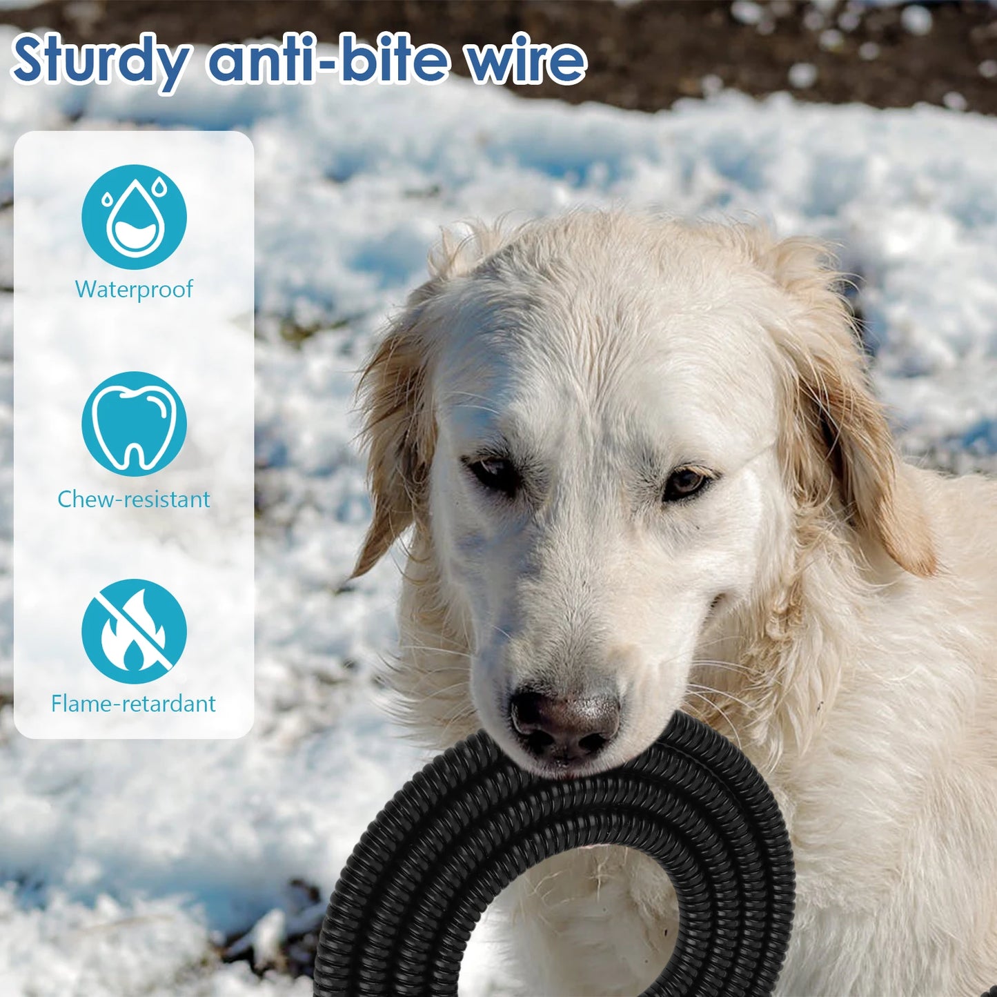 Heated Pet Water Bowl 3.2 L/108 Oz Outdoor Heated Dog Dish Anti-Freeze Heated Pet Water Dish in Winter for Dog Cat Chicken Duck