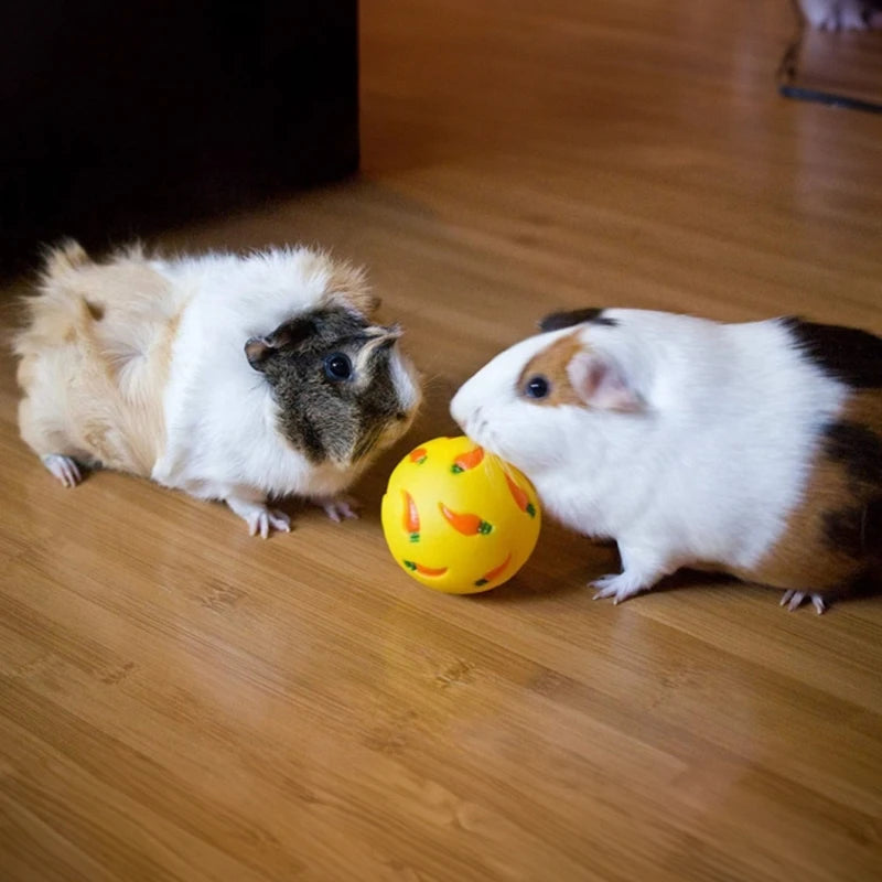 1pc Random Color Interesting Puzzle Toy Carrot Printed Ball Pet Feed Dispenser Toy Slow Feed for Small Pet Cat Rabbits Hamsters